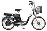 Asama EBK-002 (Pin LFP)