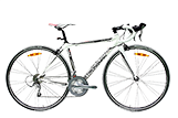 Pro 28 Race