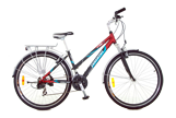 Asama AMT 48 G